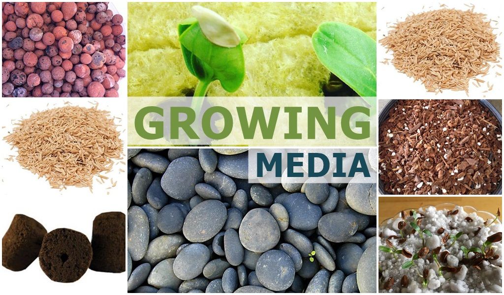 Hydroponic Grow Media and the types of media