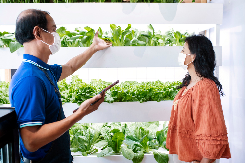 Grow Smart in 2025: 13 Best Plants for Your Hydroponic Garden!